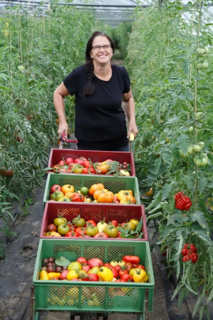 Frau Breker-Kremer mit einer Schubkarre mit vielen bunten Historischen Tomaten