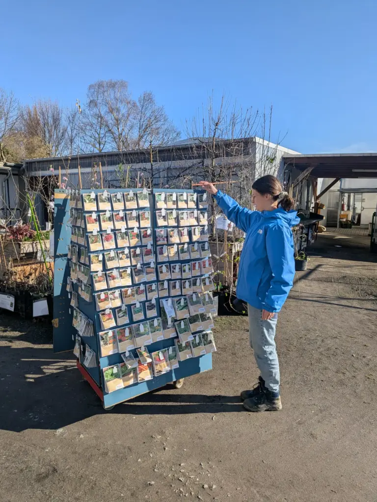 Große Auswahl am Saatgutstand
